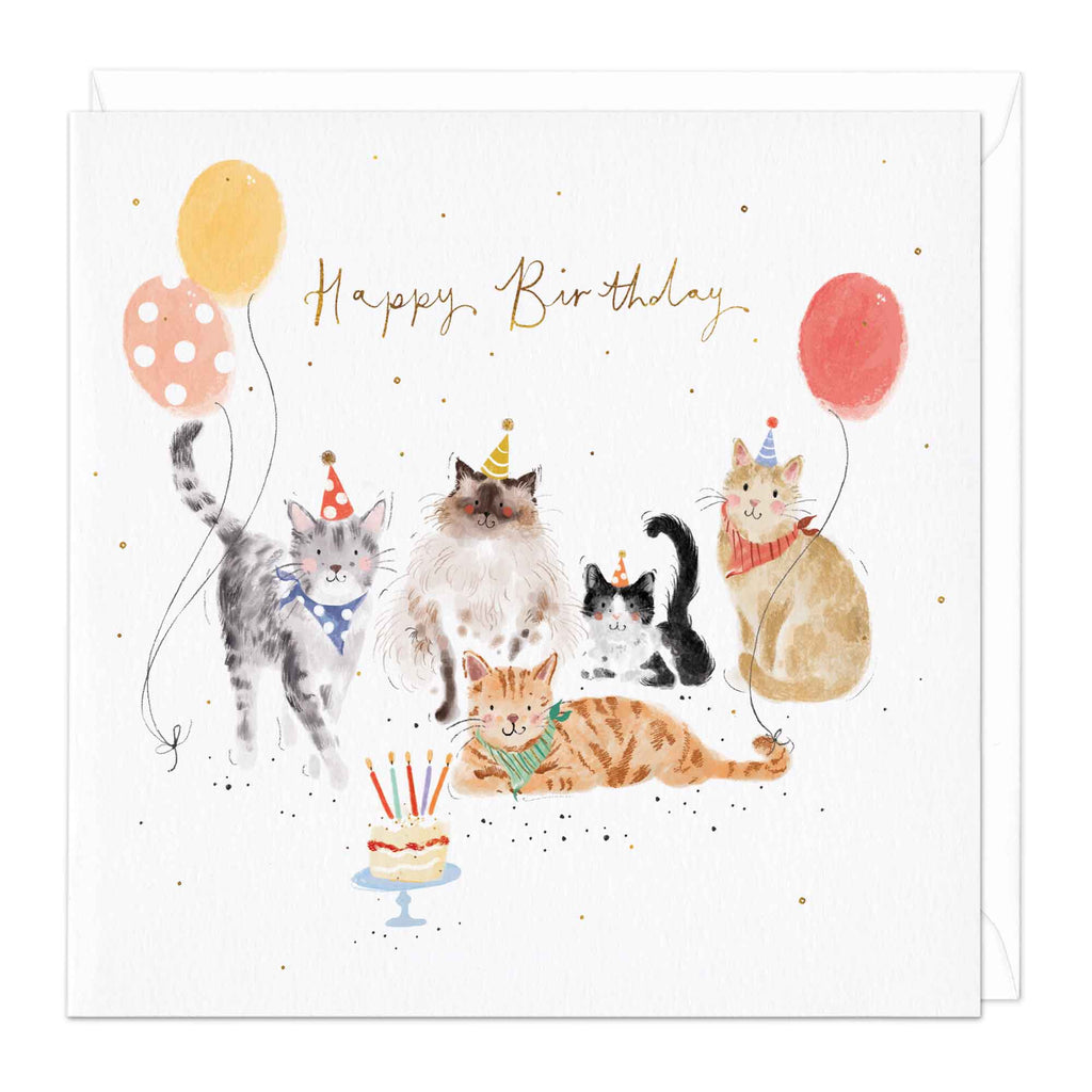 Party Cats Birthday Card Whistlefish Whistlefish Trade