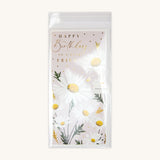 Cellophane Slip C (125x240mm)