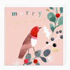 XA144 - Peach Robin Christmas Card