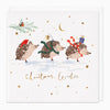 XA215 - Hedgehogs On Ice Christmas Card