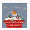 XA220 - Robin On A Postbox Christmas Card