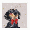 XA244 - Daschund Christmas Card