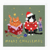XA176 - Cat In A Box Christmas Card