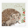 XA213 - Snowy Hedehog Christmas Card