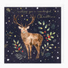 XA246 - Reindeer Christmas Card