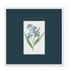 F037 - Forget-me-not Sympathy Card