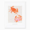 G095 - Crabs Seagrass Card