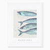 G096 - Mackerel Seagrass Card