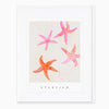 G097 - Starfish Seagrass Card