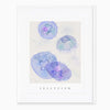 G100 - Jellyfish Seagrass Card