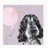 G193 - Spaniel Birthday Card