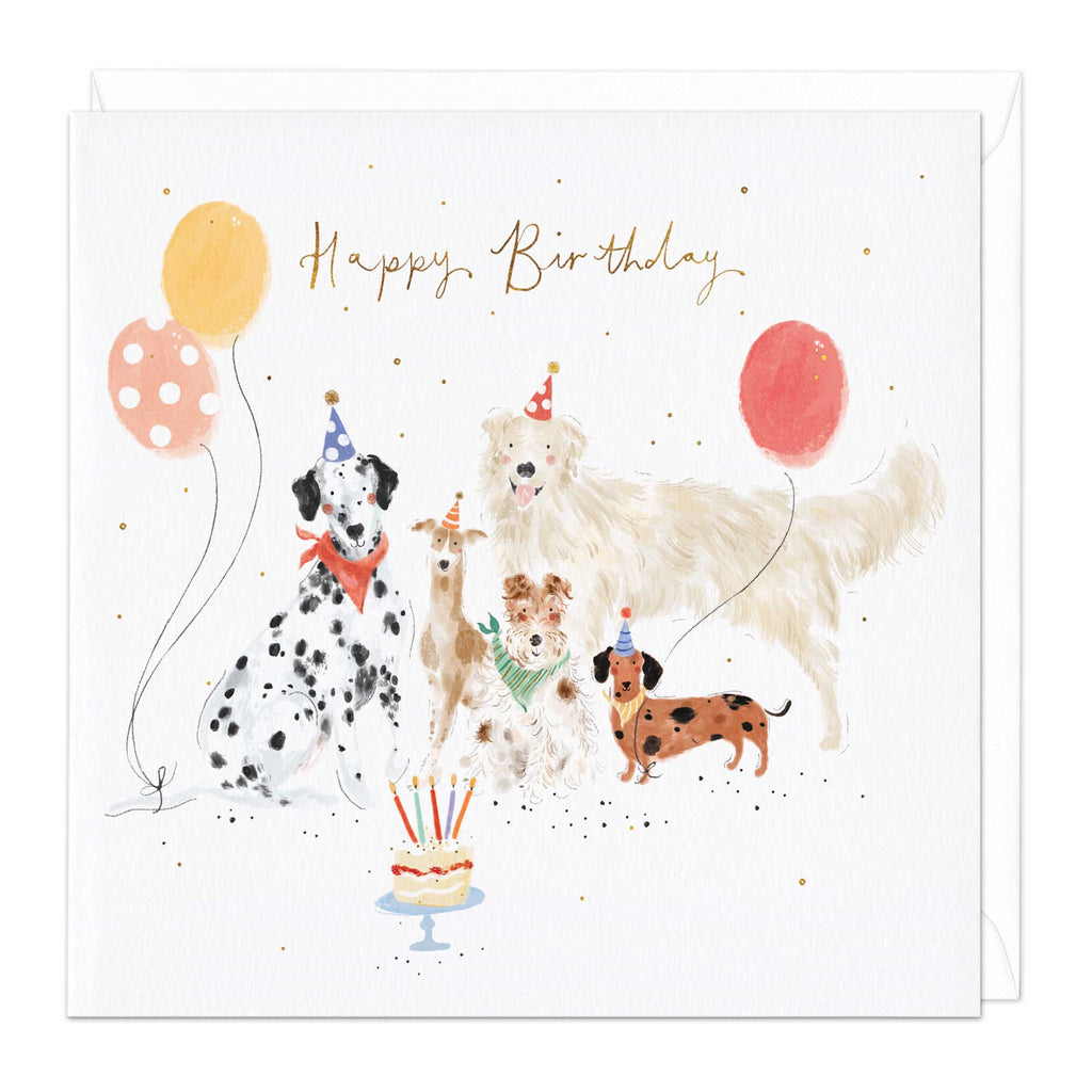 Dog Party Birthday Card Whistlefish Whistlefish Trade