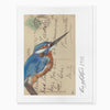 Greeting Card - G029 - Kingfisher Vintage Art Card - Kingfisher Vintage Art Card - Whistlefish