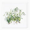 Greeting Card-G173 - Snowdrops Art Card-Whistlefish