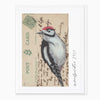 Greeting Card-G299 - Woodpecker Vintage Art Card-Whistlefish
