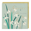 Luxury Christmas Card - LZ007 - Wild Snowdrops Luxury Christmas Card - Snowdrops Luxury Christmas Card - Whistlefish