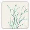 Notelet Tin-MWT62 - Seagrass Notelet Tin-Whistlefish