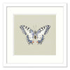 TRWF01F - Butterfly Blue Small Framed Print