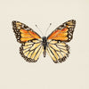 TRWF02P - Monarch Butterfly Small Print