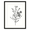 TRWF08F - Meadow Flower Small Framed Print