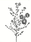 TRWF08P - Meadow Flower Small Print