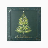 Evergreen Christmas Card Pack - Whistlefish