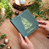 Evergreen Christmas Card Pack - Whistlefish