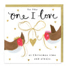 Z103 - To The One I Love Robin Christmas Card