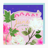 Bright Summer June Birthday Card - Whistlefish