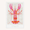 Tea Towel - WTT229 - Cornish Lobster Tea Towel - Cornish Lobster Tea Towel - Whistlefish