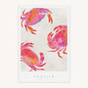 Tea Towel - WTT230 - Cornish Crab Tea Towel - Cornish Crab Tea Towel - Whistlefish