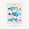 Tea Towel - WTT236 - Sea Bass Tea Towel - Sea Bass Tea Towel - Whistlefish