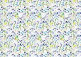 Wrapping Paper - GWP16 - Spring Is Sprung Wrapping Paper - Spring Is Sprung Wrapping Paper - Whistlefish