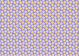 Wrapping Paper - GWP64 - Purple Daisy Wrapping Paper - Purple Daisy Wrapping Paper - Whistlefish